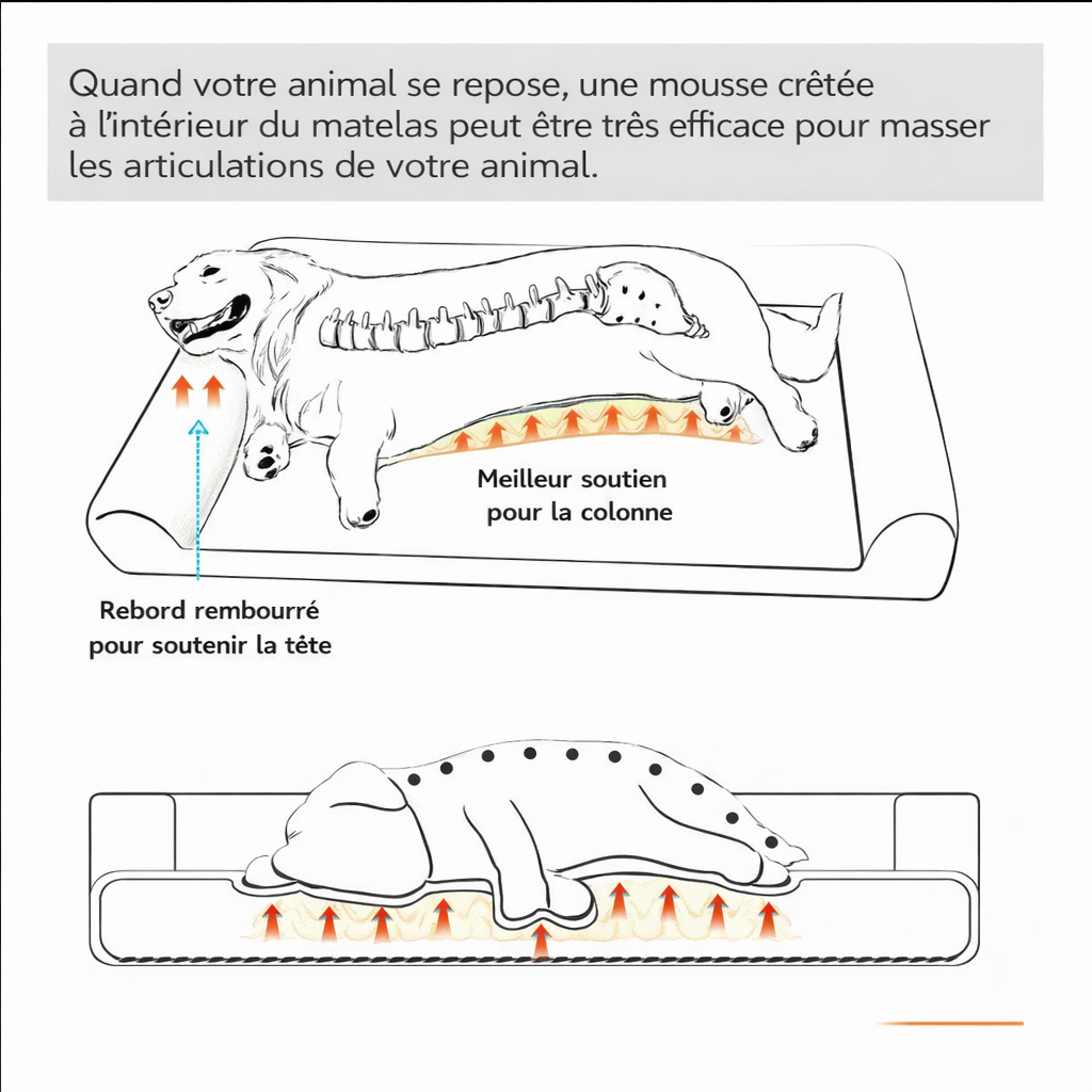 Le Soutien – Couchage orthopédique renforcé pour chien