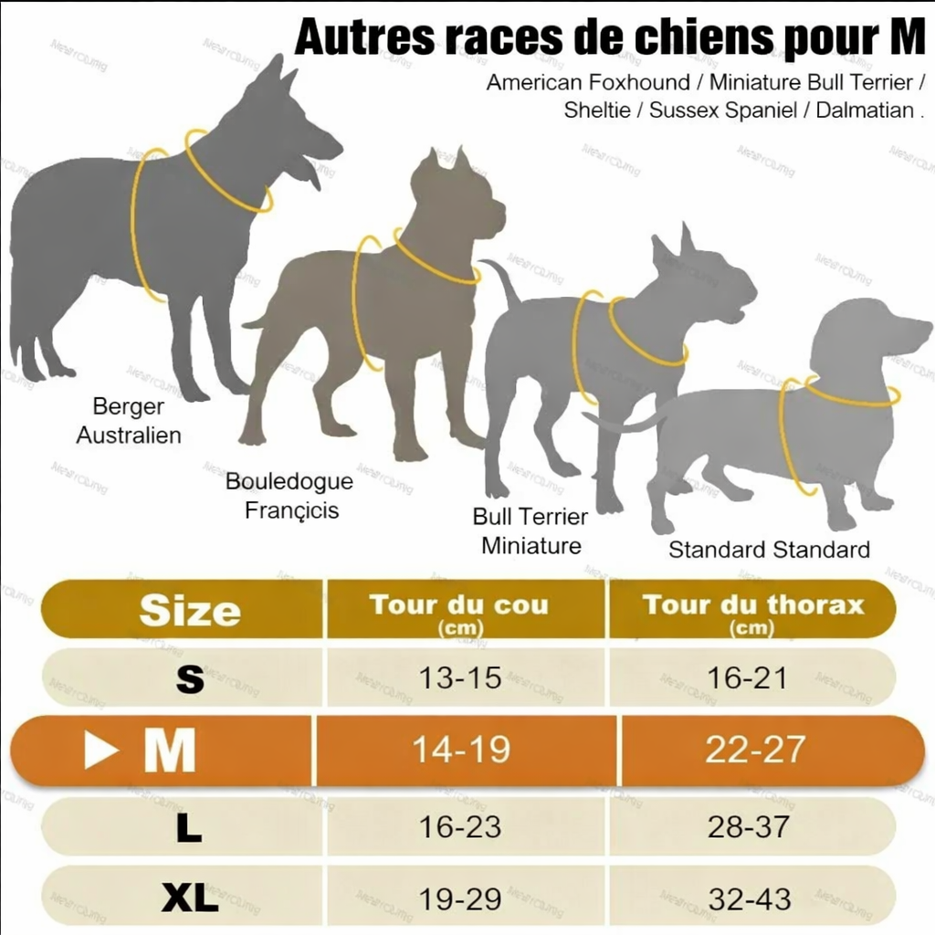 Harnais LED lumineux rechargeable pour chien – Ajustable & anti-traction