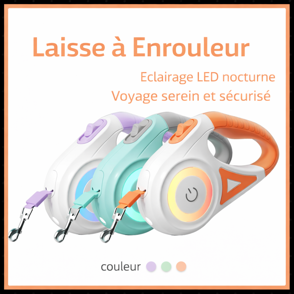 Laisse rétractable avec éclairage LED pour chien
