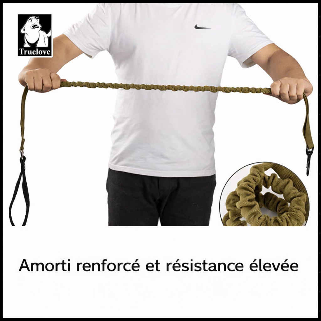 Laisse élastique amortissante pour chien – 120 à 160 cm