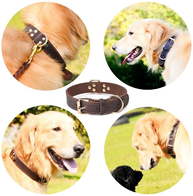 Collier en cuir véritable à double anneau pour chien