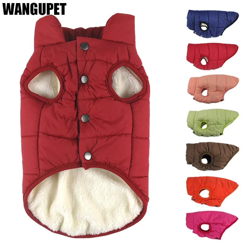 Manteau d’Hiver – Gilet matelassé doublé polaire pour chien