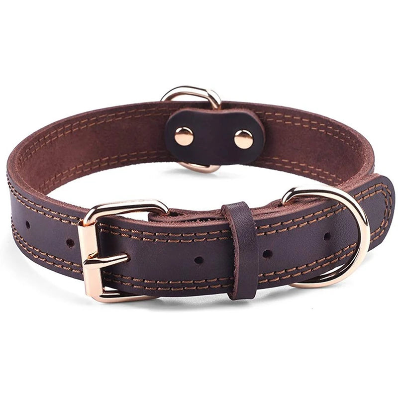 Collier en cuir véritable à double anneau pour chien
