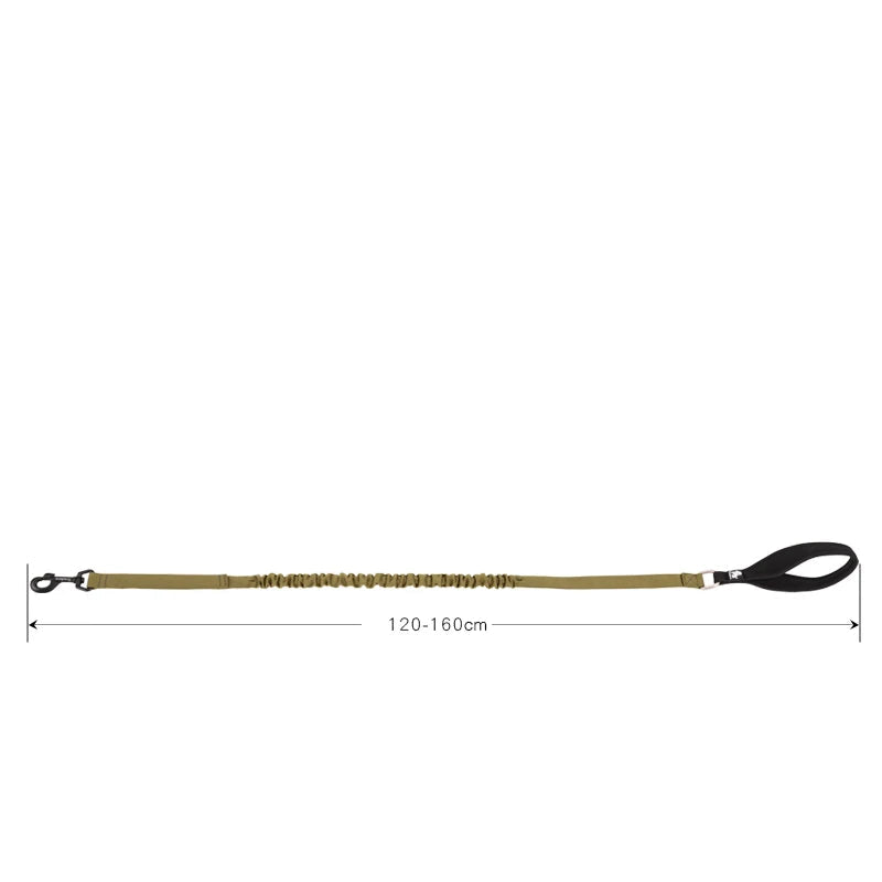Laisse élastique amortissante pour chien – 120 à 160 cm