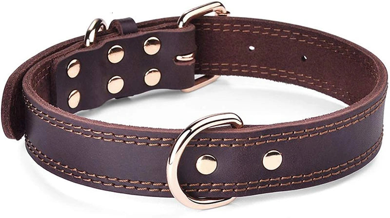 Collier en cuir véritable à double anneau pour chien