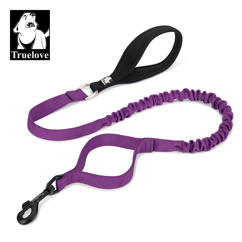 Laisse élastique amortissante pour chien – 120 à 160 cm