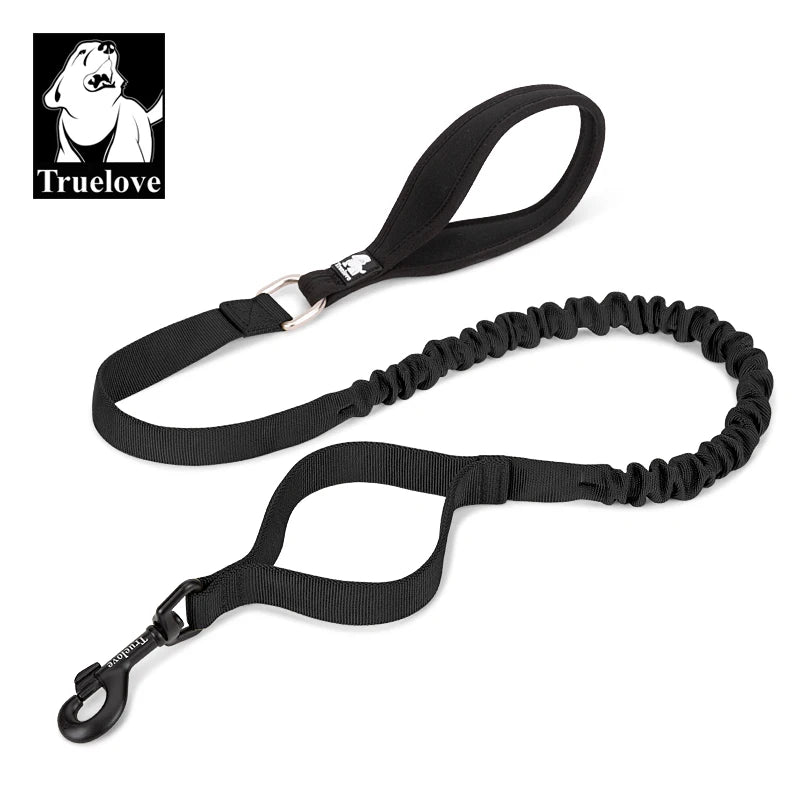 Laisse élastique amortissante pour chien – 120 à 160 cm