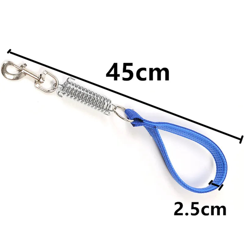 Laisse courte avec ressort pour chien