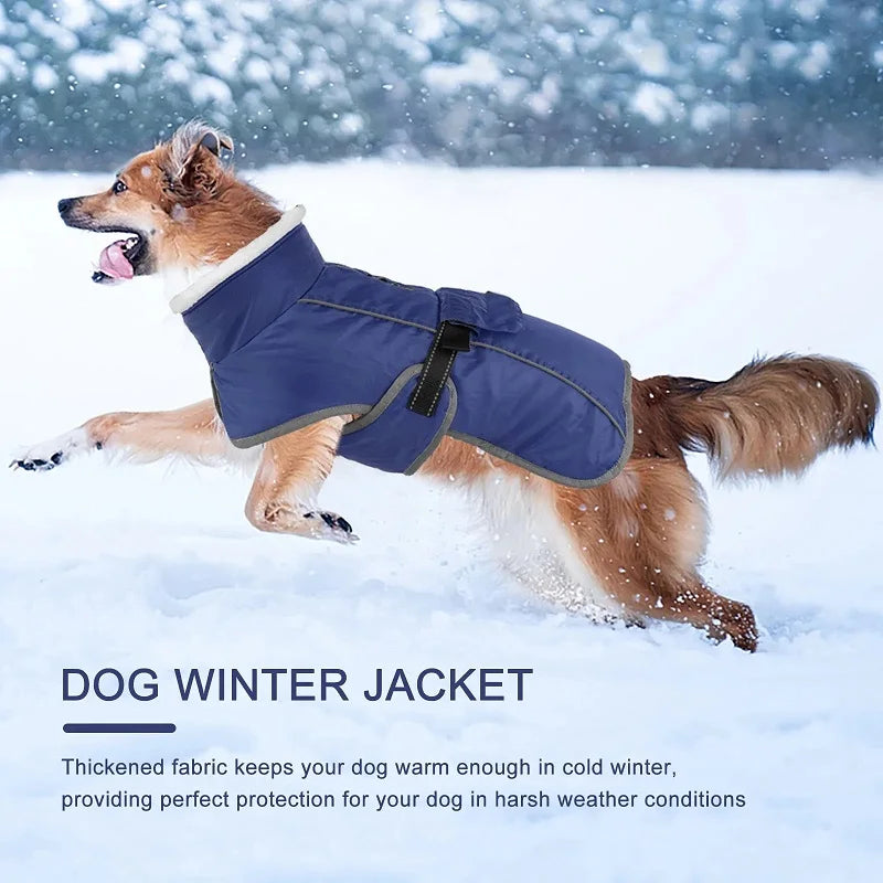 Manteau d’Hiver – Veste chaude réfléchissante pour chien