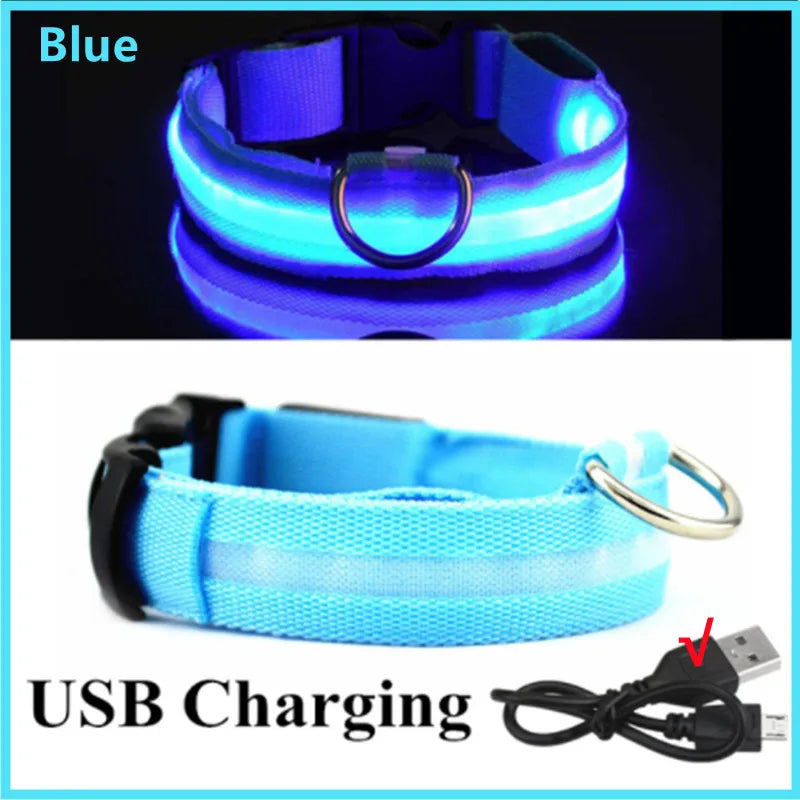Collier lumineux rechargeable par USB pour chien