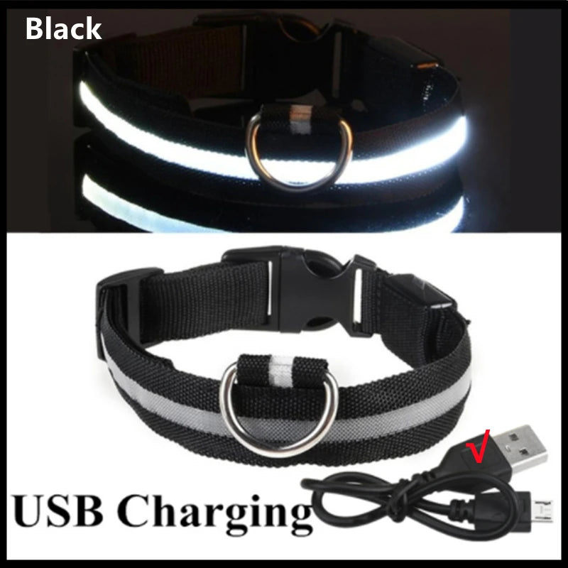 Collier lumineux rechargeable par USB pour chien