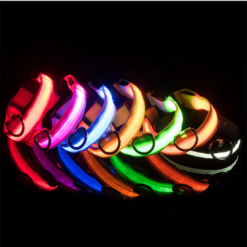 Collier lumineux rechargeable par USB pour chien