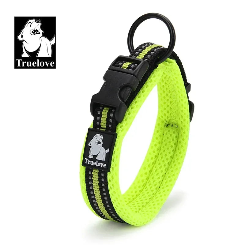 Collier pour chien rembourré et réfléchissant – Ajustable