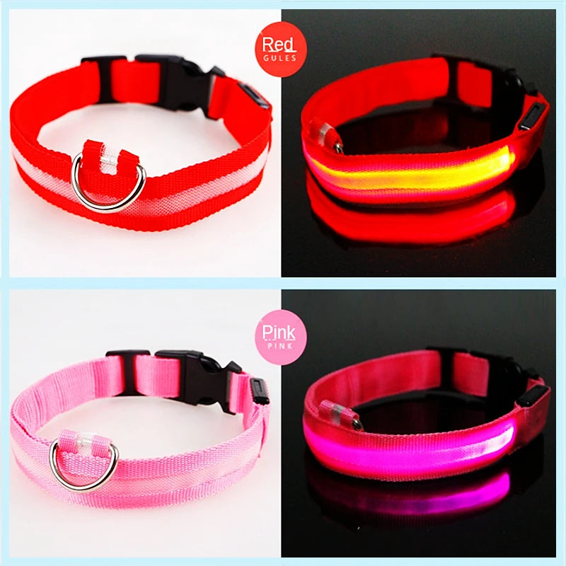 Collier lumineux rechargeable par USB pour chien