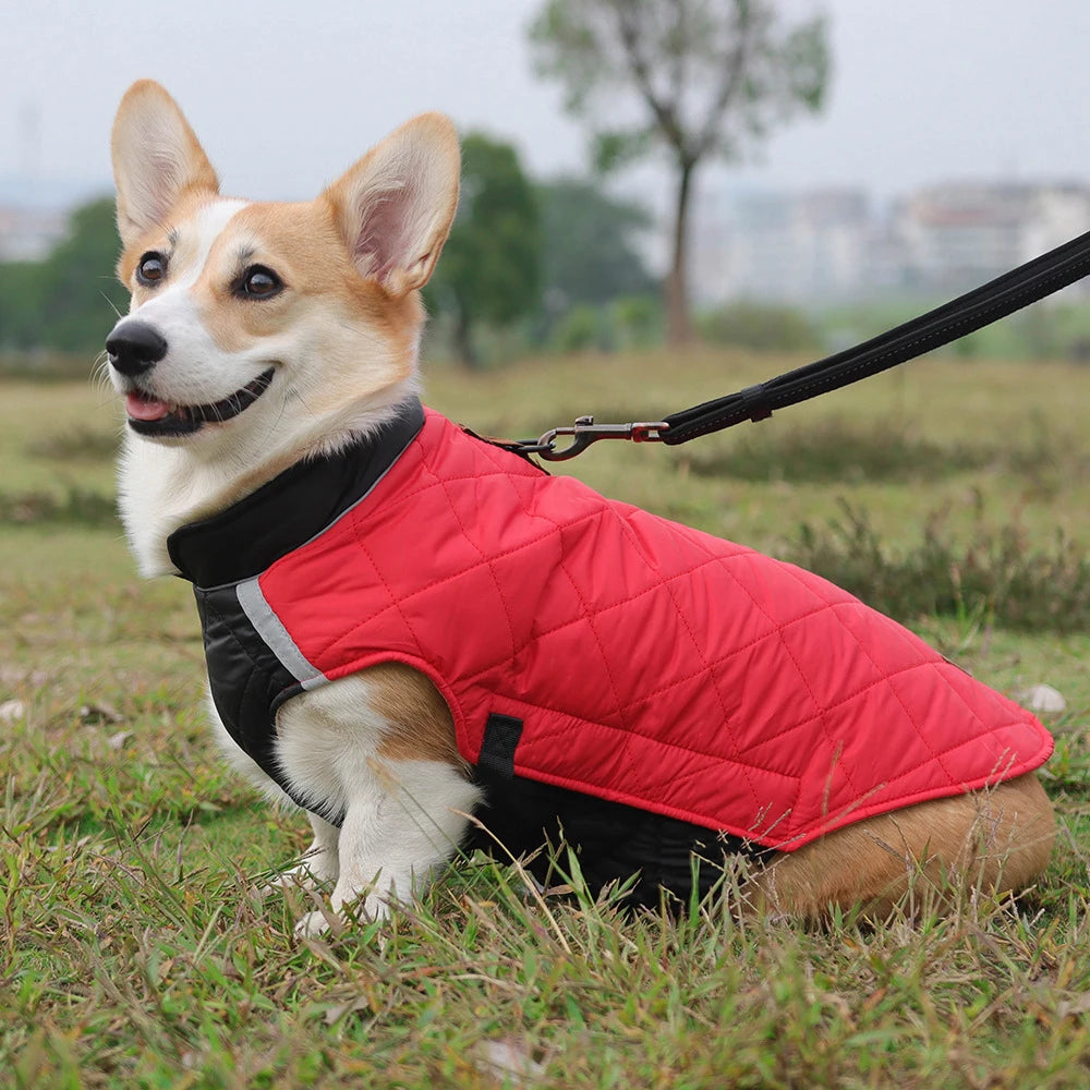 Manteau Imperméable – Veste Matelassée Hivernale pour Chien