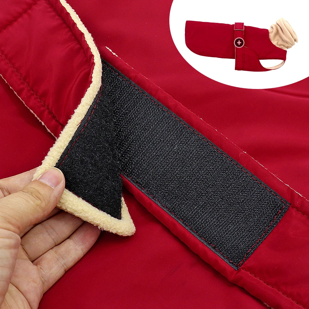 Manteau Imperméable – Manteau Chaud & Imperméable pour Chien
