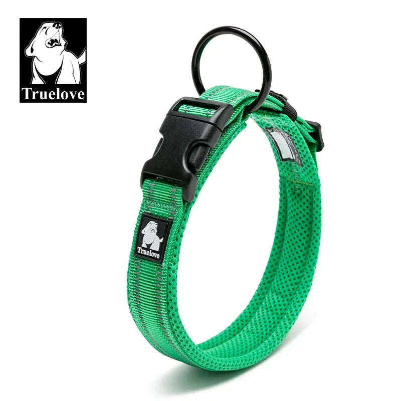 Collier pour chien rembourré et réfléchissant – Ajustable