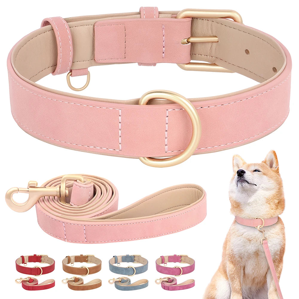 Collier et laisse rembourrés en simili cuir pour chien