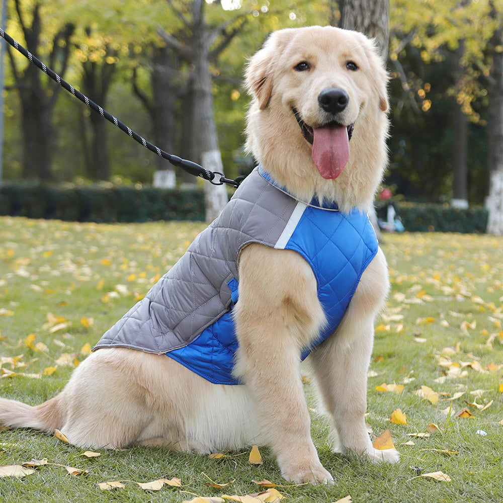 Manteau Imperméable – Veste Matelassée Hivernale pour Chien