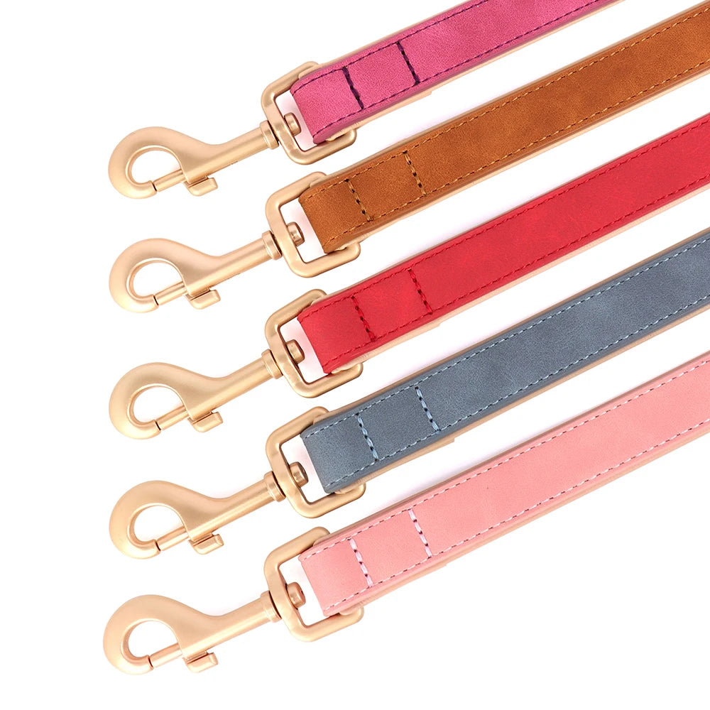 Collier et laisse rembourrés en simili cuir pour chien