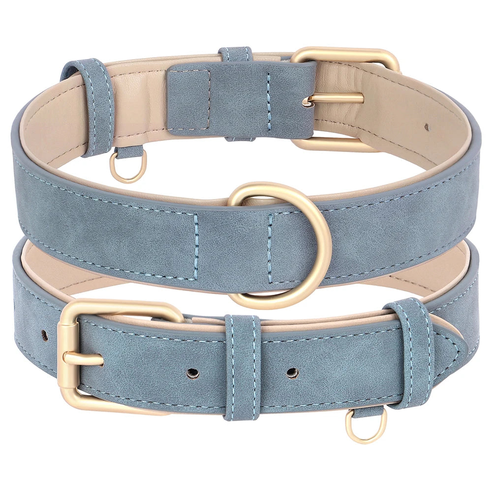 Collier et laisse rembourrés en simili cuir pour chien