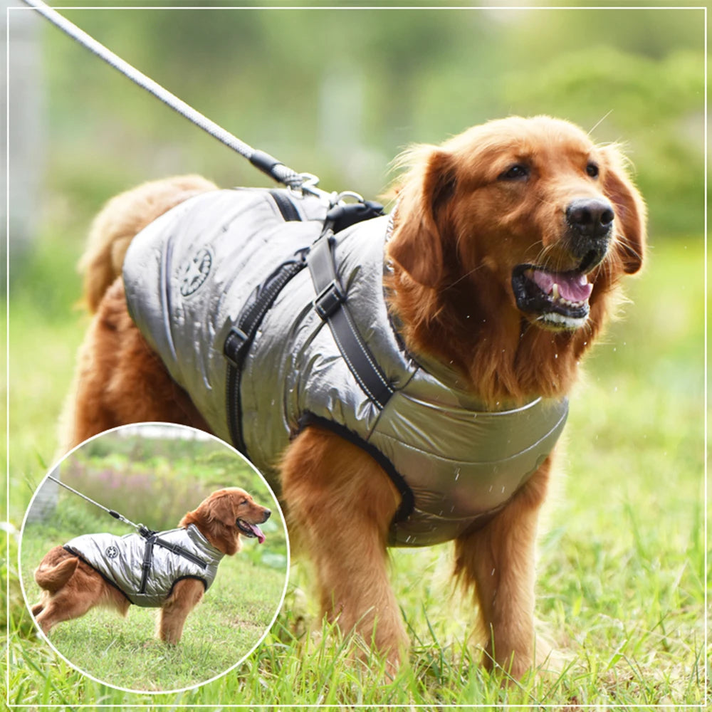 Manteau Imperméable – Manteau pour chien avec harnais intégré