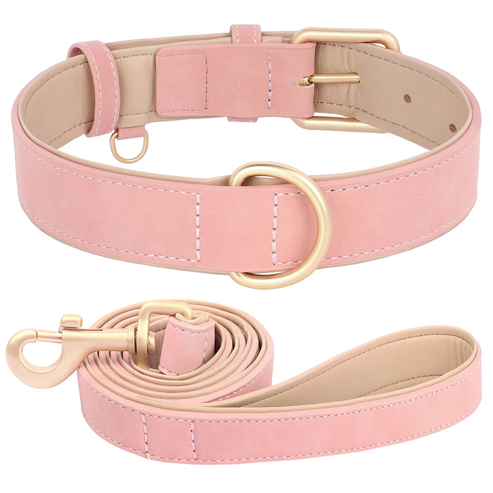 Collier et laisse rembourrés en simili cuir pour chien