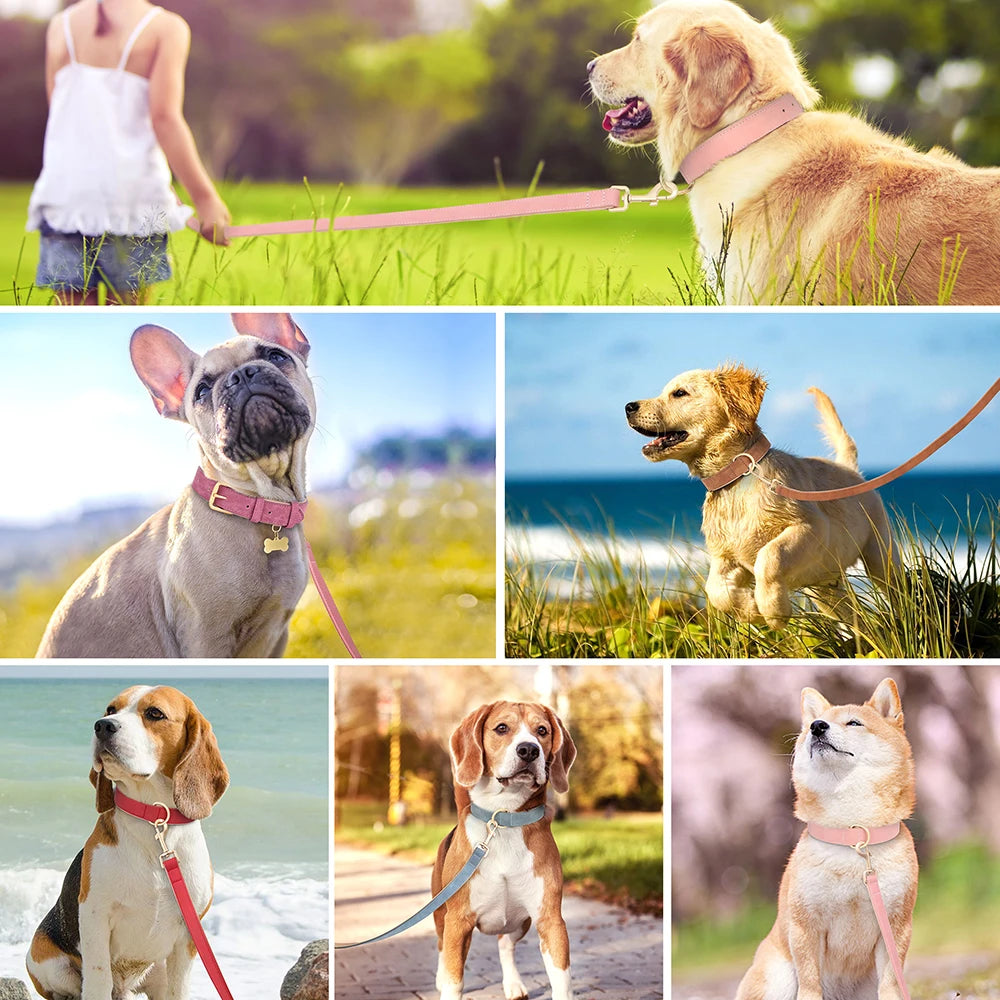 Collier et laisse rembourrés en simili cuir pour chien