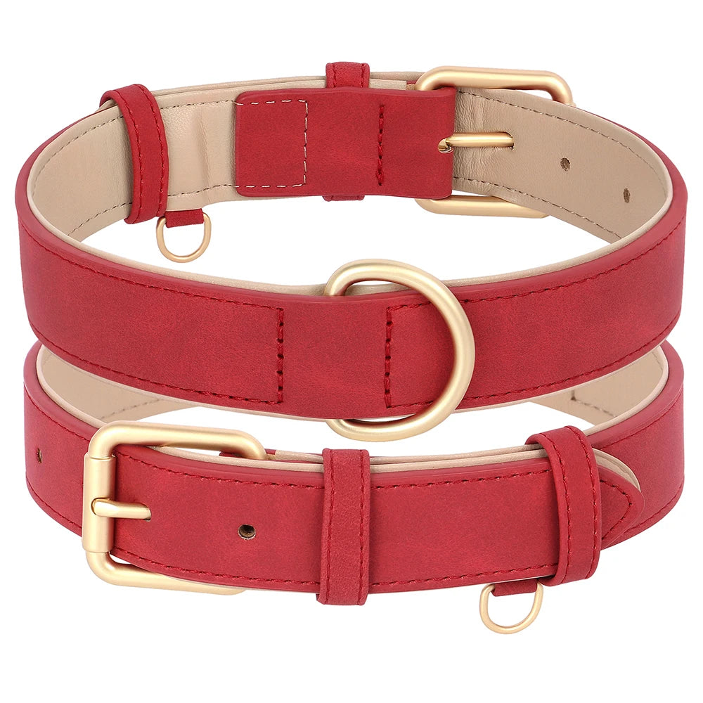 Collier et laisse rembourrés en simili cuir pour chien