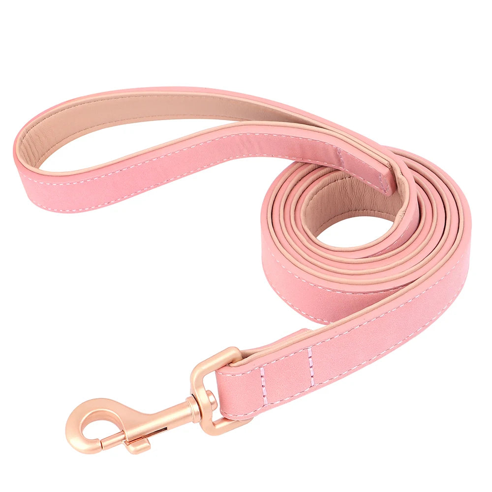 Collier et laisse rembourrés en simili cuir pour chien