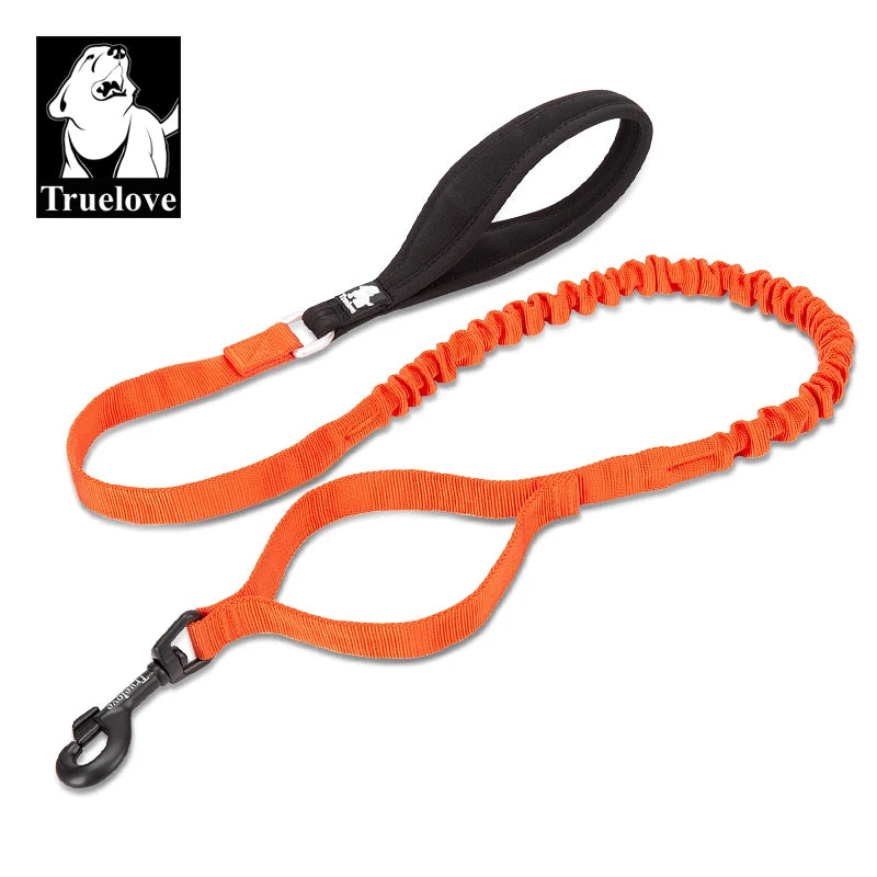 Laisse élastique amortissante pour chien – 120 à 160 cm