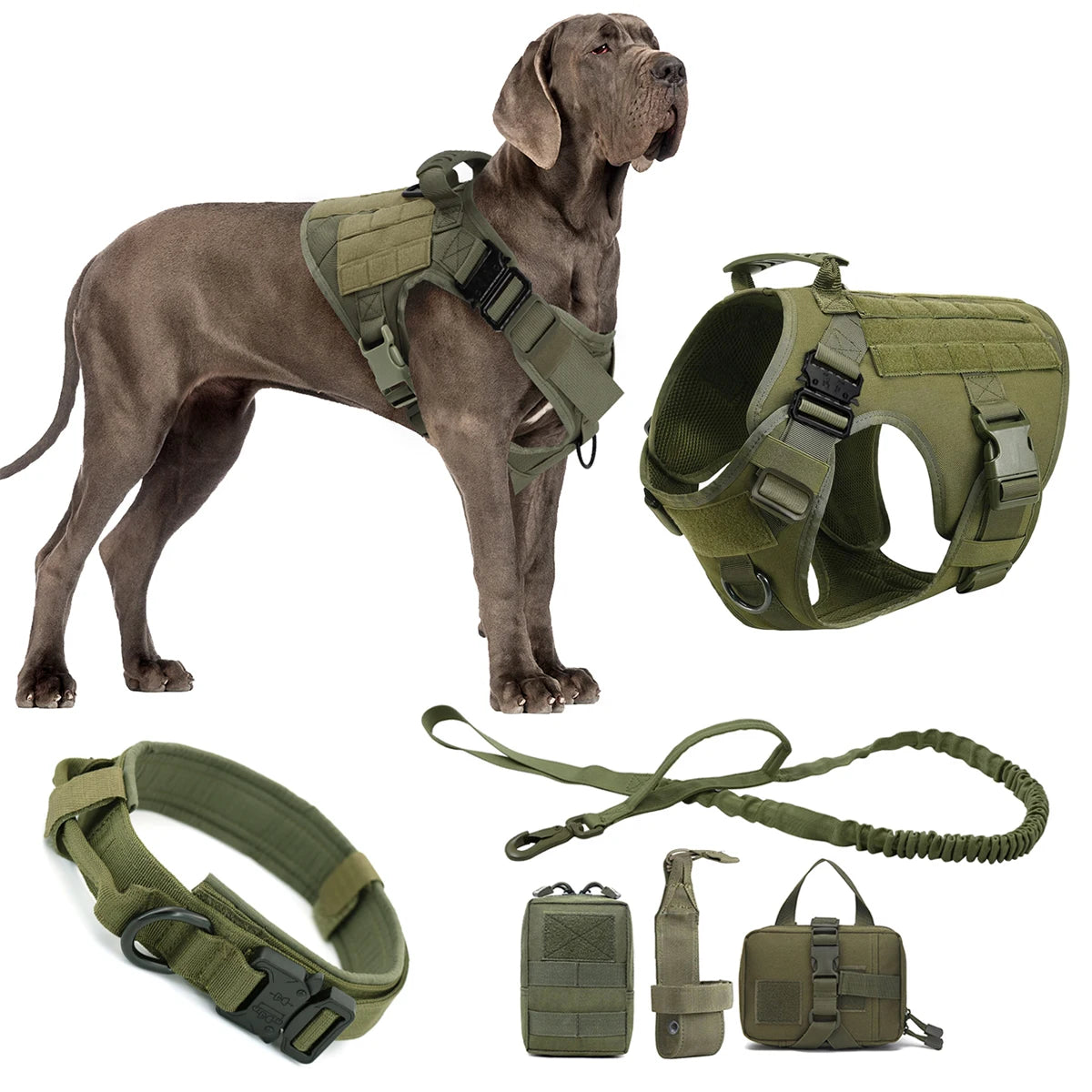 Harnais tactique ajustable pour chien – Maintien renforcé et confort quotidien