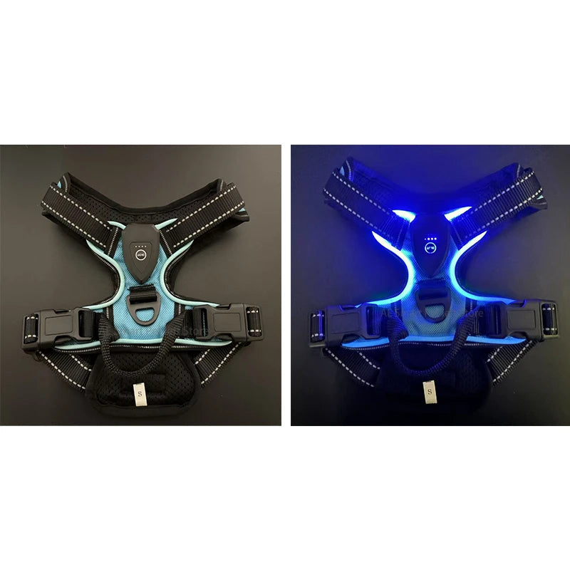 Harnais LED lumineux rechargeable pour chien – Ajustable & anti-traction