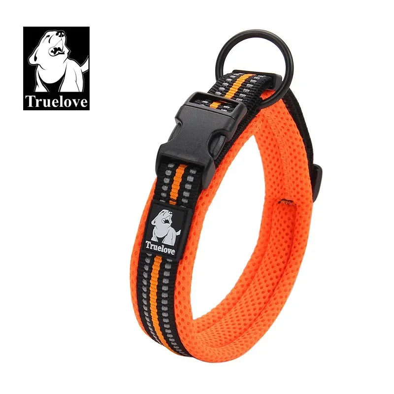 Collier pour chien rembourré et réfléchissant – Ajustable
