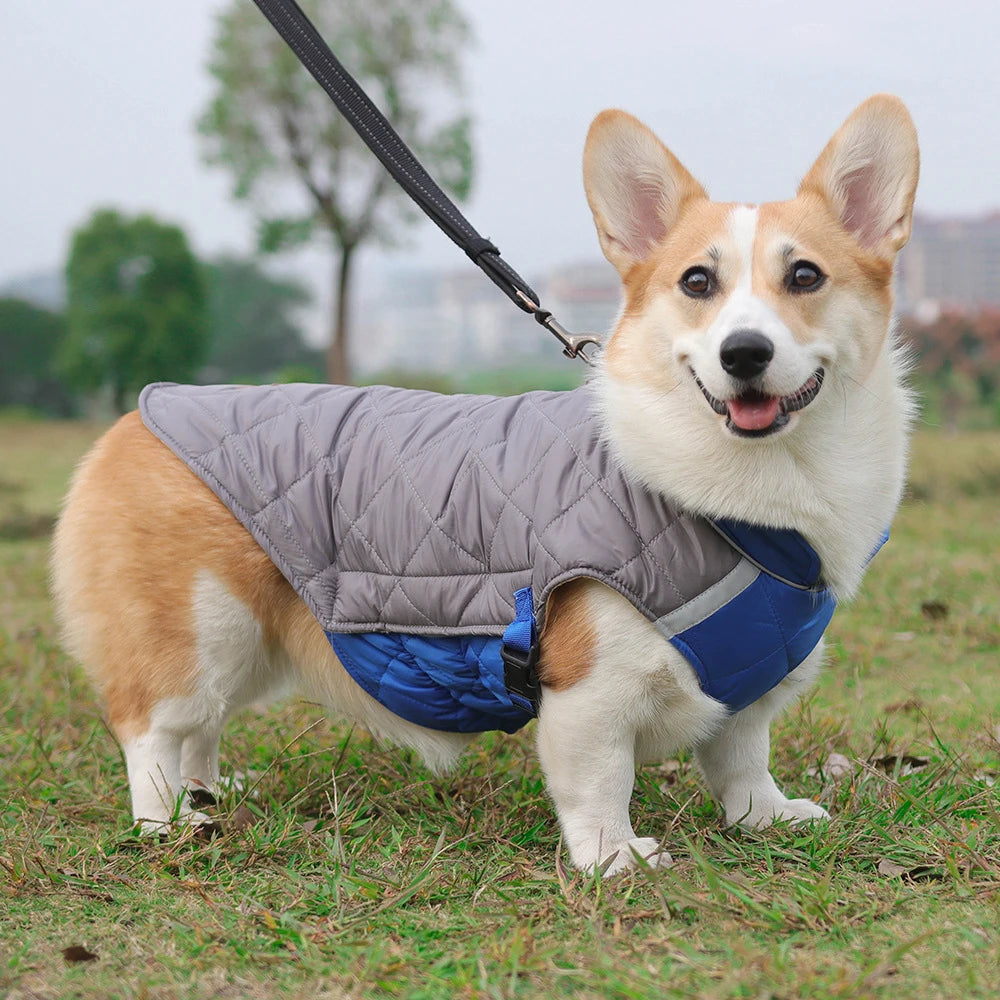 Manteau Imperméable – Veste Matelassée Hivernale pour Chien