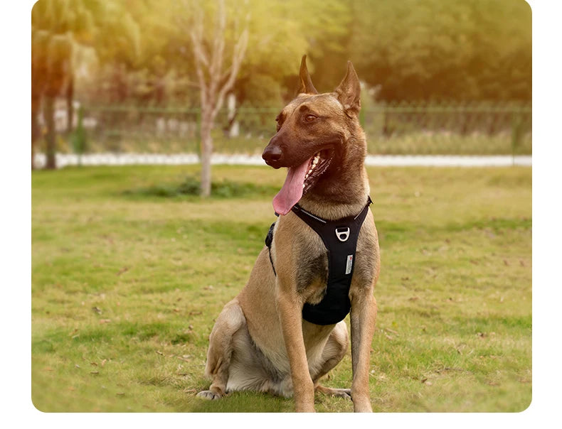 Harnais élégant et confortable pour chien – Ajustable et réfléchissant