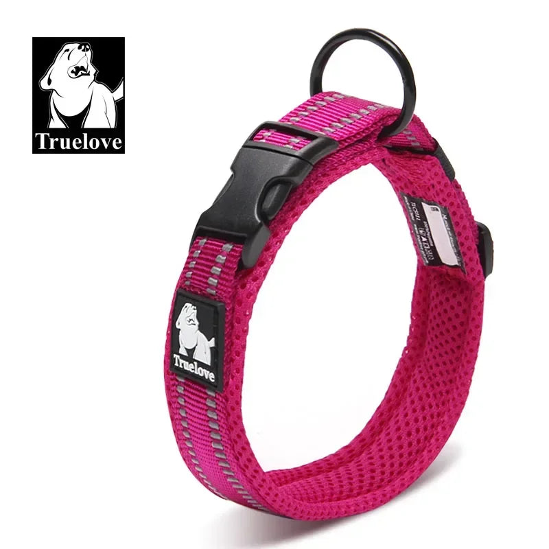Collier pour chien rembourré et réfléchissant – Ajustable
