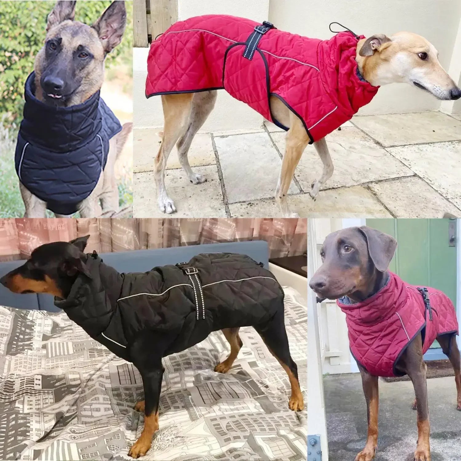 Manteau Imperméable – Veste Hivernale Réfléchissante pour Chien