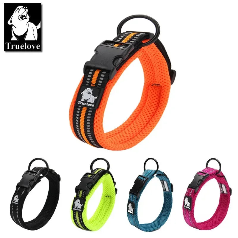 Collier pour chien rembourré et réfléchissant – Ajustable