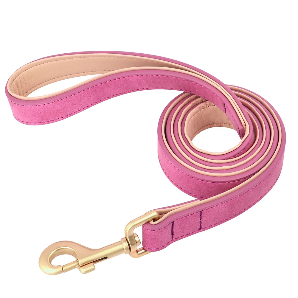 Collier et laisse rembourrés en simili cuir pour chien