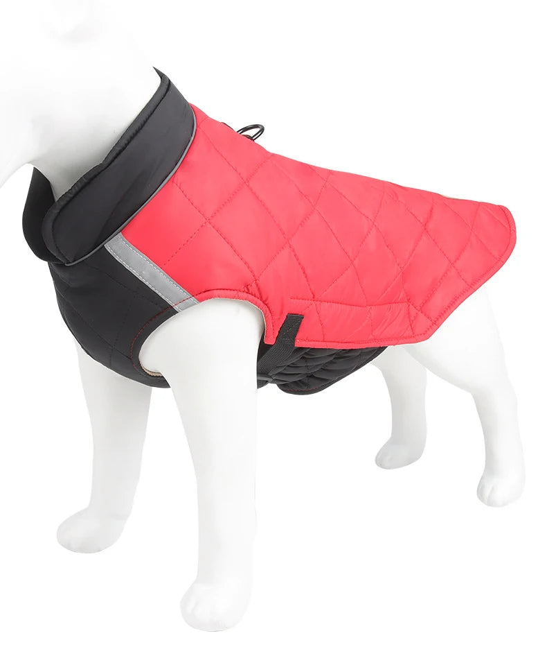 Manteau Imperméable – Veste Matelassée Hivernale pour Chien