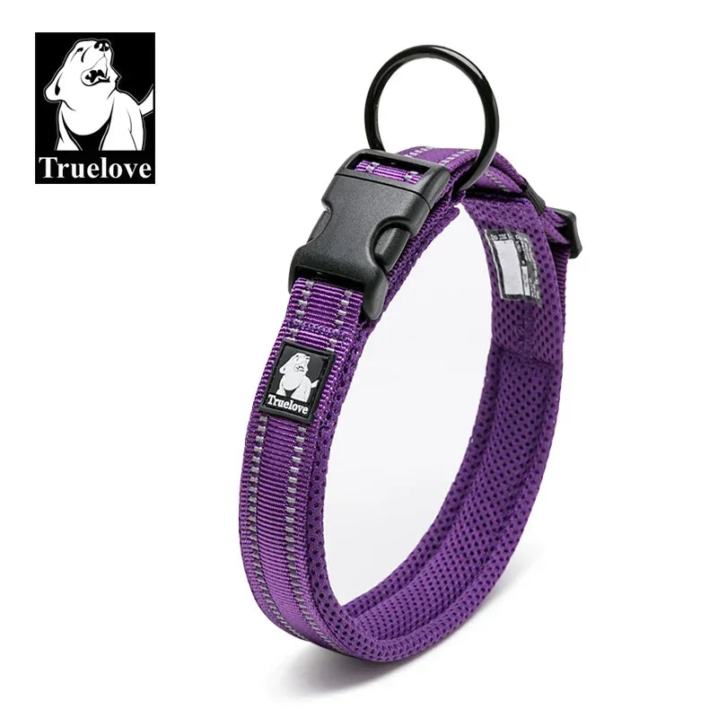 Collier pour chien rembourré et réfléchissant – Ajustable