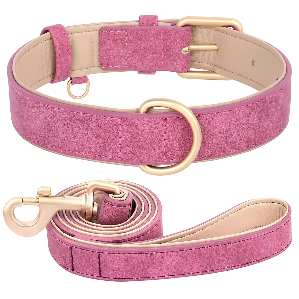 Collier et laisse rembourrés en simili cuir pour chien