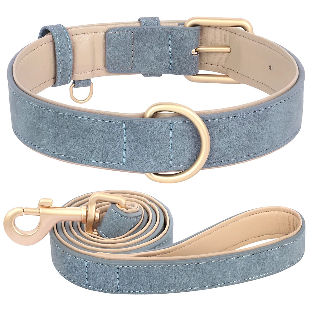 Collier et laisse rembourrés en simili cuir pour chien