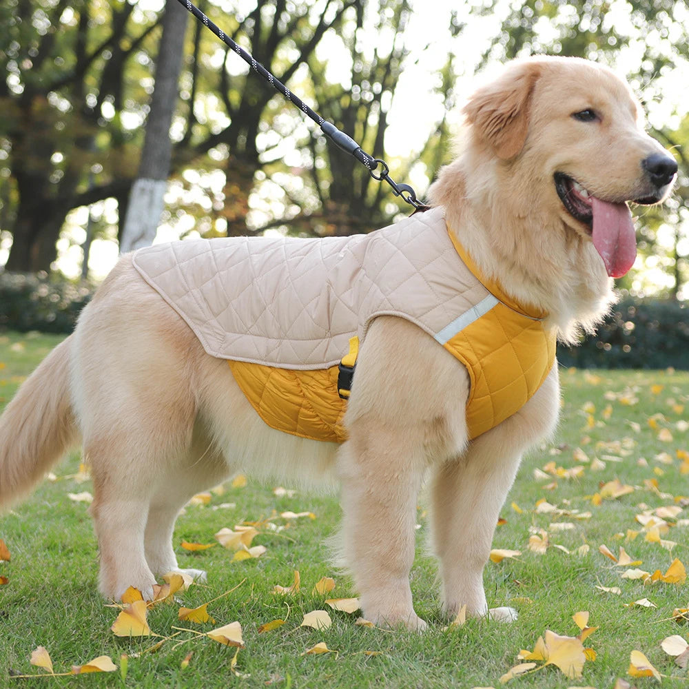 Manteau Imperméable – Veste Matelassée Hivernale pour Chien