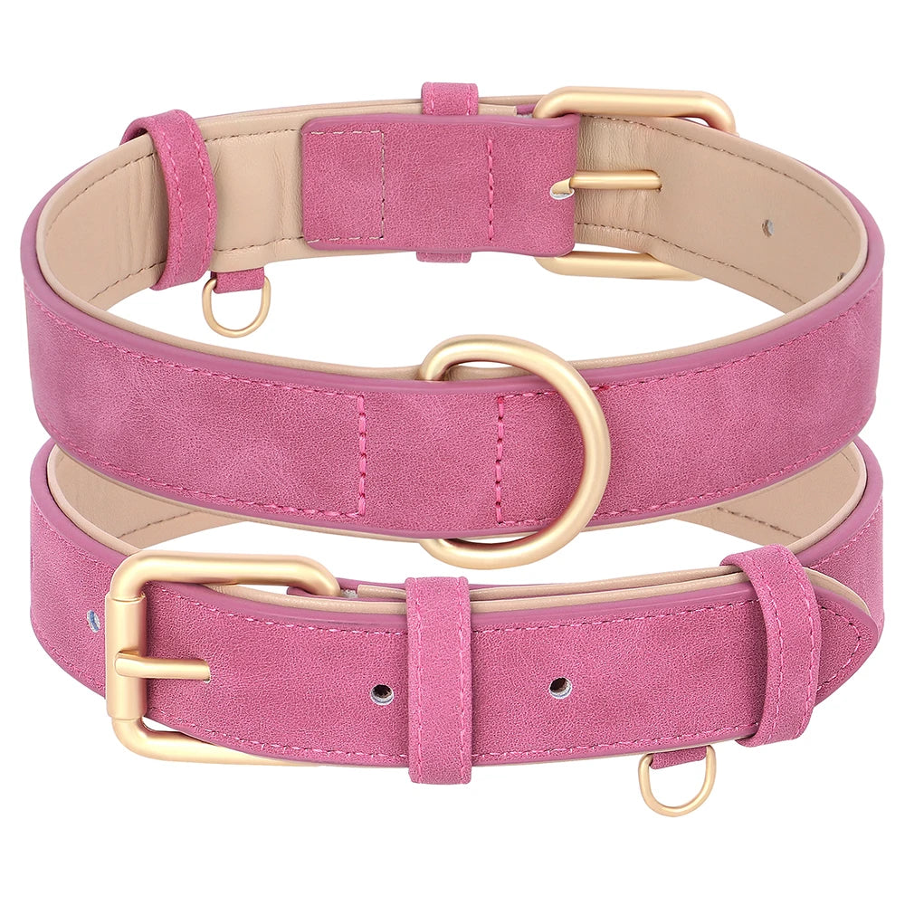 Collier et laisse rembourrés en simili cuir pour chien