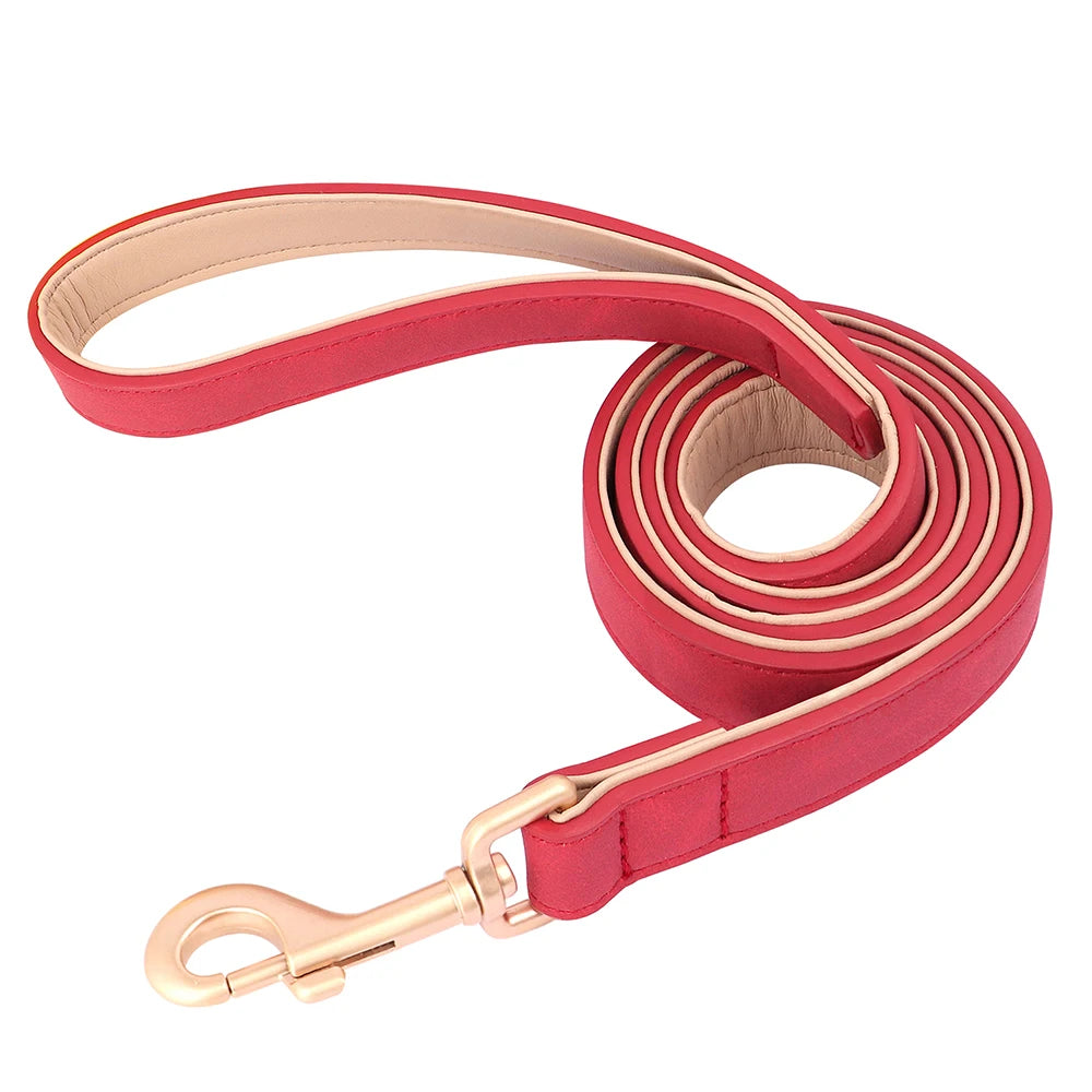 Collier et laisse rembourrés en simili cuir pour chien