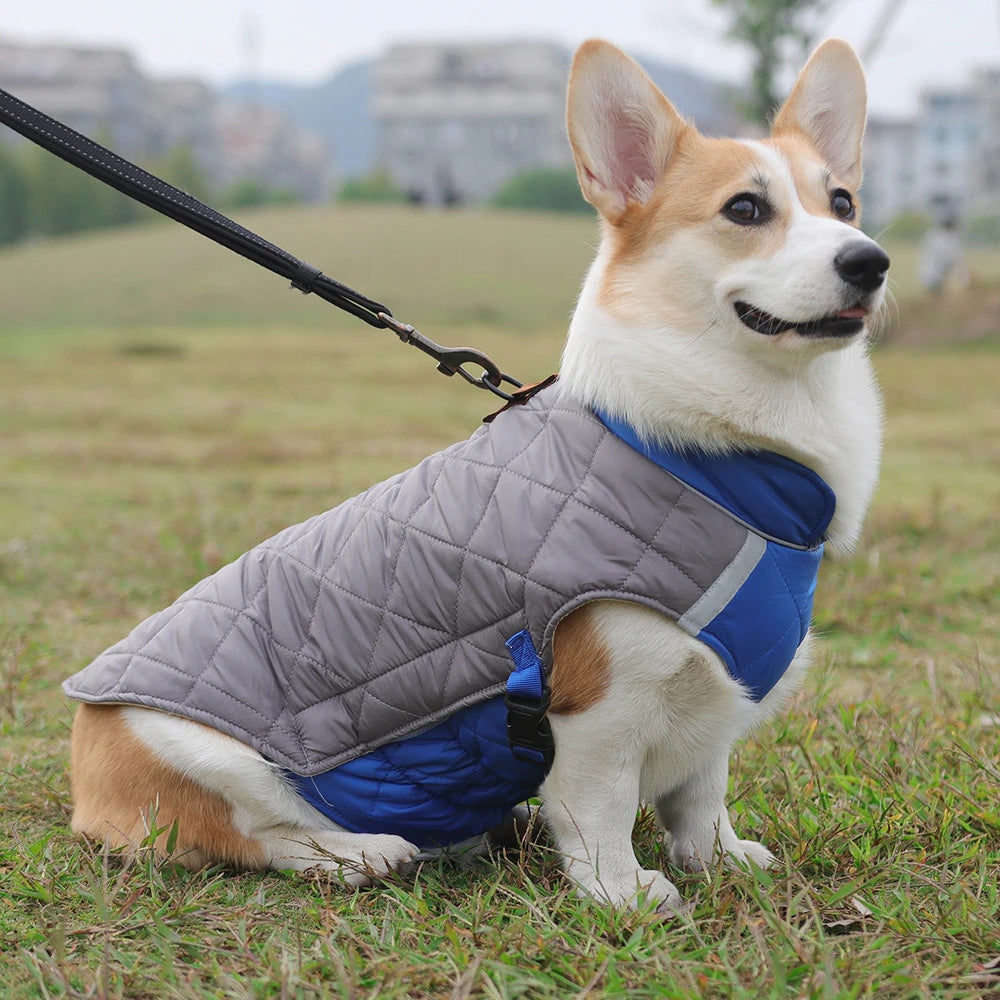 Manteau Imperméable – Veste Matelassée Hivernale pour Chien