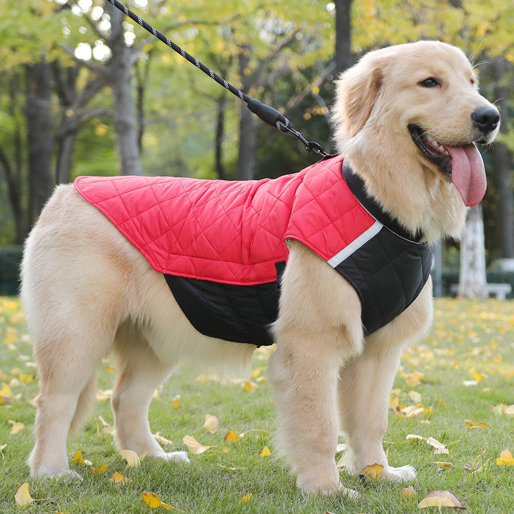 Manteau Imperméable – Veste Matelassée Hivernale pour Chien