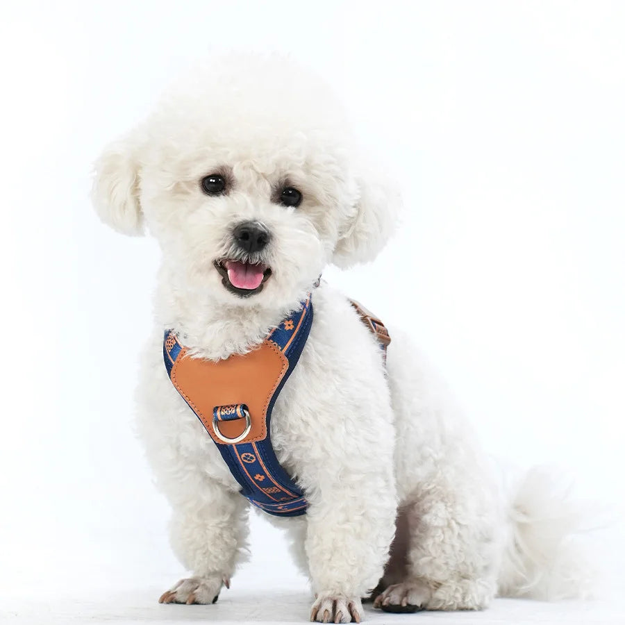 Harnais ajustable réfléchissant pour chien – Modèle gilet